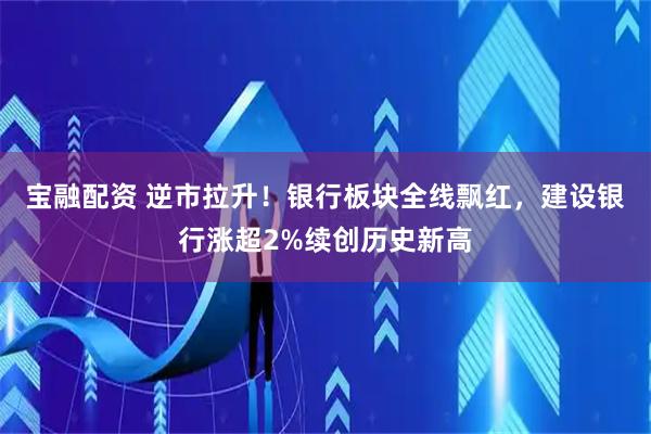宝融配资 逆市拉升！银行板块全线飘红，建设银行涨超2%续创历史新高