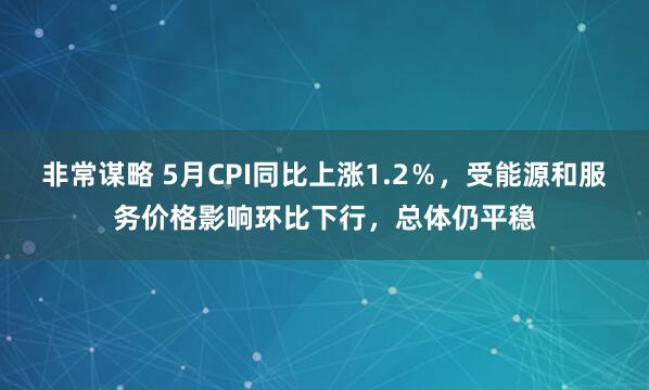 非常谋略 5月CPI同比上涨1.2%,受能源和服务价格影响环比下行,总体仍平稳