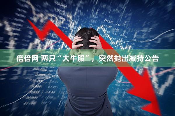 倍倍网 两只“大牛股”，突然抛出减持公告