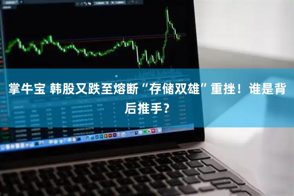 掌牛宝 韩股又跌至熔断“存储双雄”重挫！谁是背后推手？