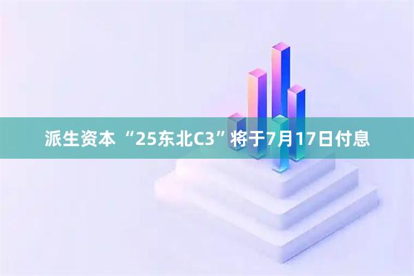 派生资本 “25东北C3”将于7月17日付息