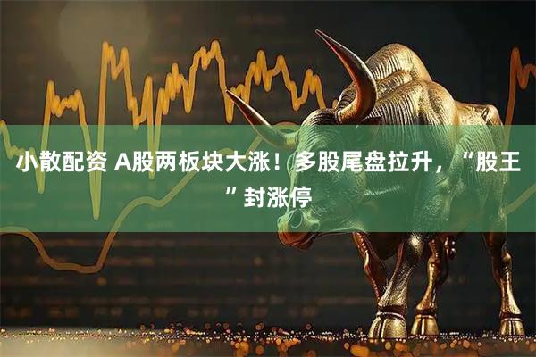 小散配资 A股两板块大涨！多股尾盘拉升，“股王”封涨停