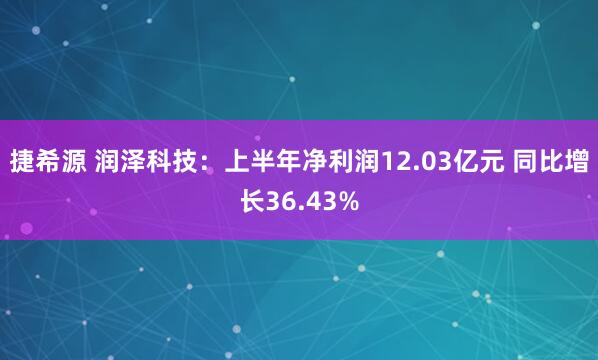 捷希源 润泽科技：上半年净利润12.03亿元 同比增长36.43%