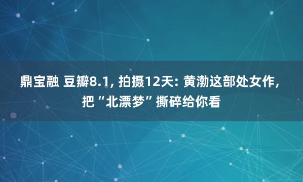 鼎宝融 豆瓣8.1, 拍摄12天: 黄渤这部处女作, 把“北漂梦”撕碎给你看